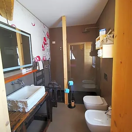 Ronco Carbon B&B-2